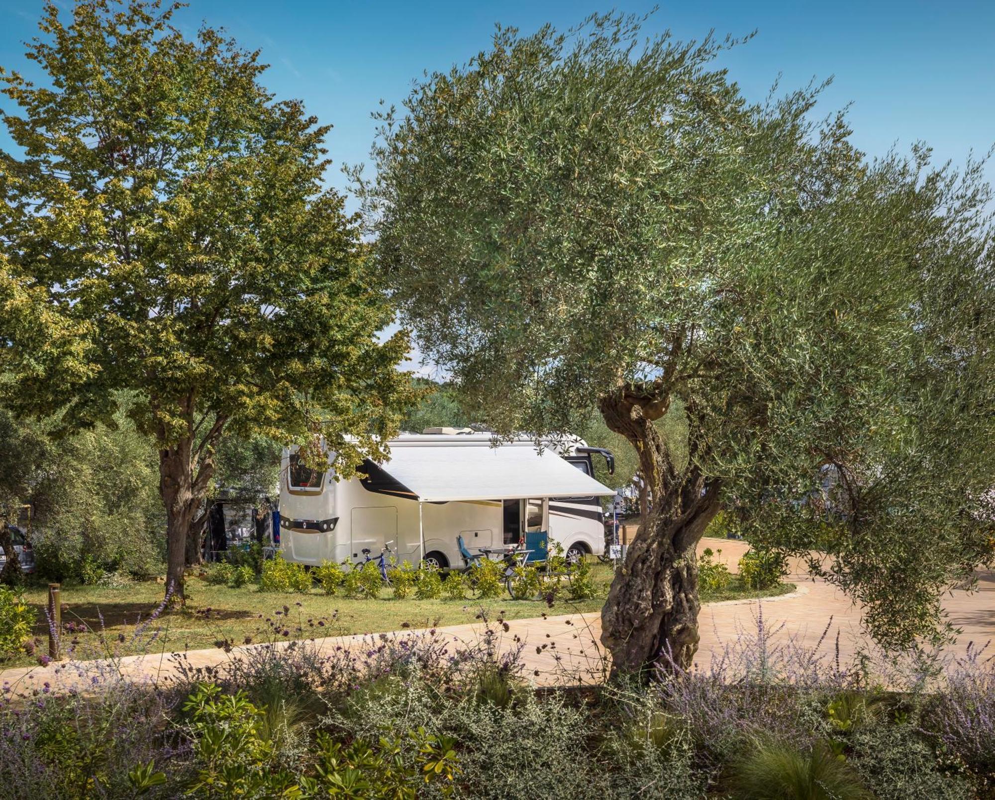 Maistra Camping Koversada Uncovered Naturist Pitches Vrsar Εξωτερικό φωτογραφία